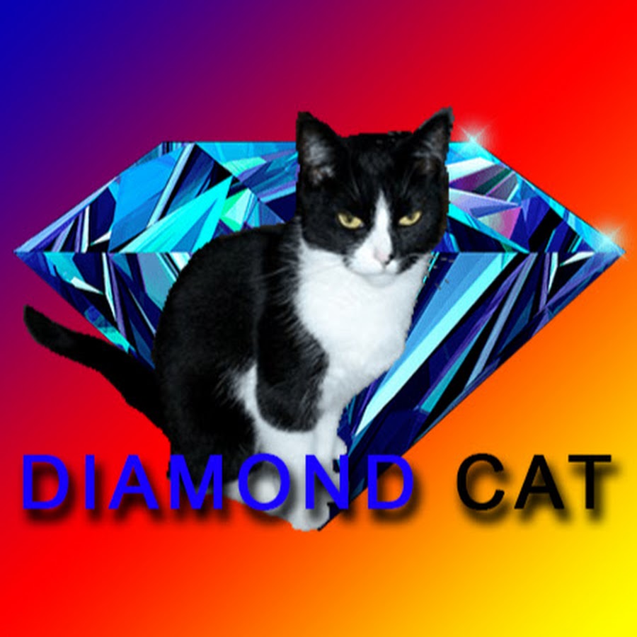 Diamond Cat - YouTube